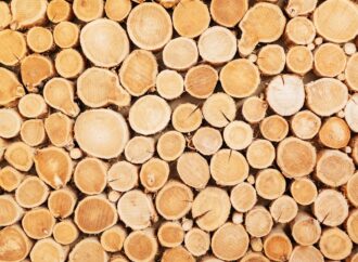Jak wygląda suszenie drewna w suszarniach?